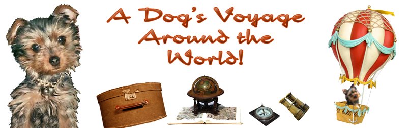 A Dog's Voyage Around The World™