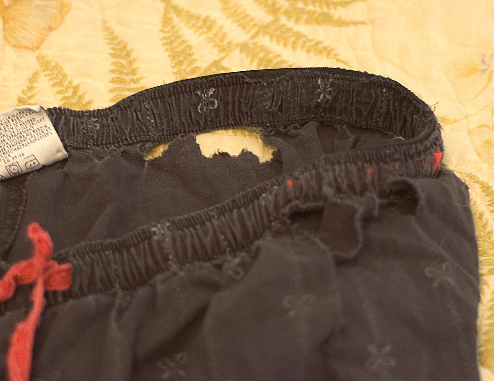 Paula S House Of Toast Decidual