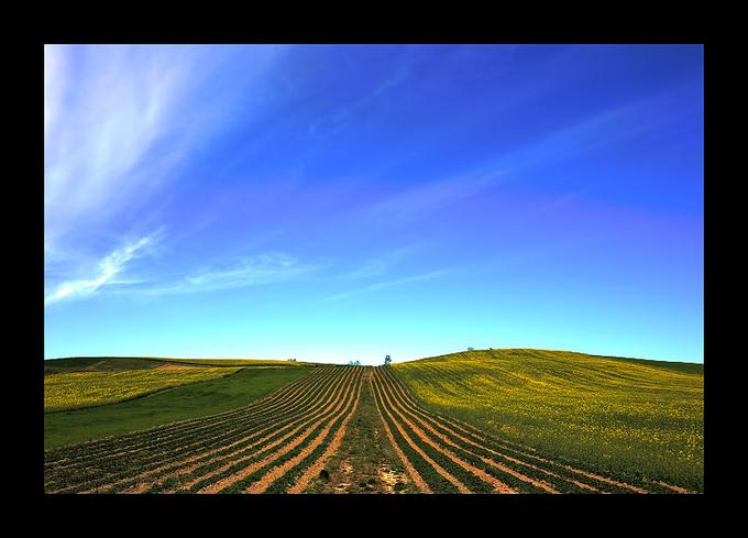 [tierracultivada.jpg]