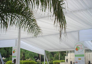 toldos rj toldos rio de janeiro aluguel eventos toldos rj rio de janeiro toldo