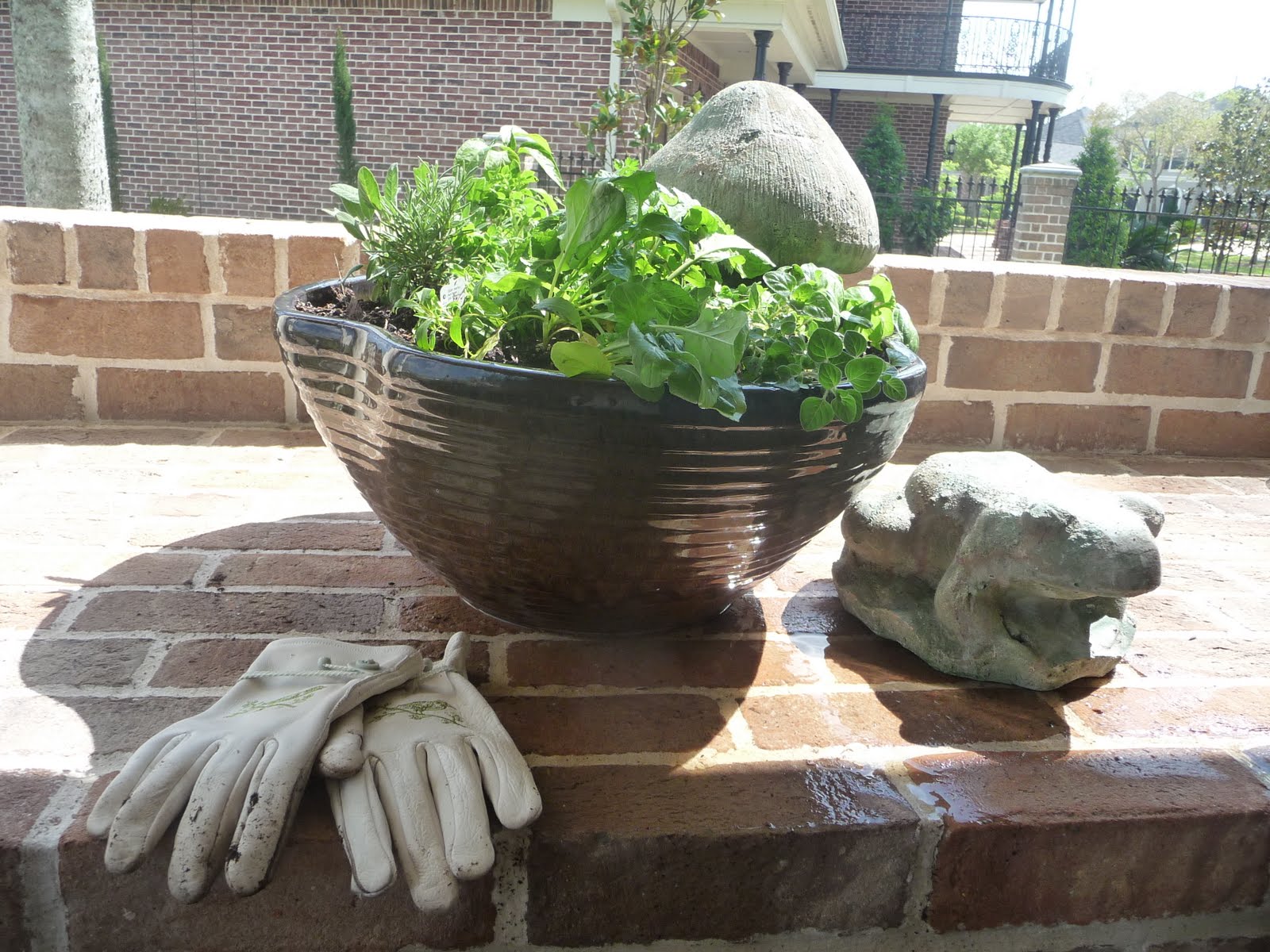 The Shiny Pebble How to plant herbs in a pot