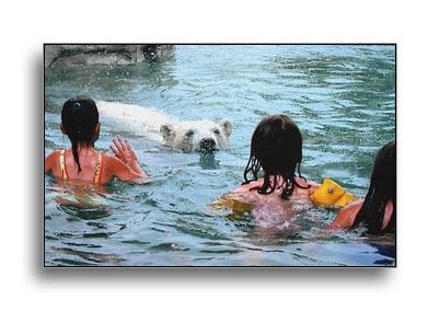 [PolarBears-SwimWith-Canada.jpg]