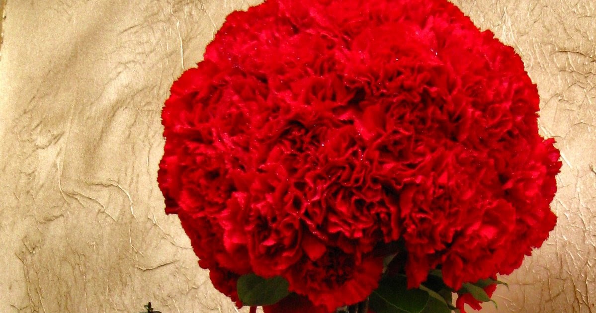 BOUTIQUE FLORALE GIGI LACHINE FLORIST RED CARNATION TOPIARY