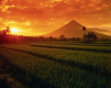 Sunset in Mt Mayon