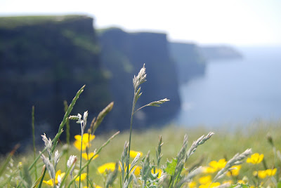 cliff of mohr