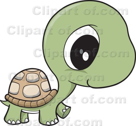 [13602_adorable_baby_tortoise_with_big_eyes.jpg]