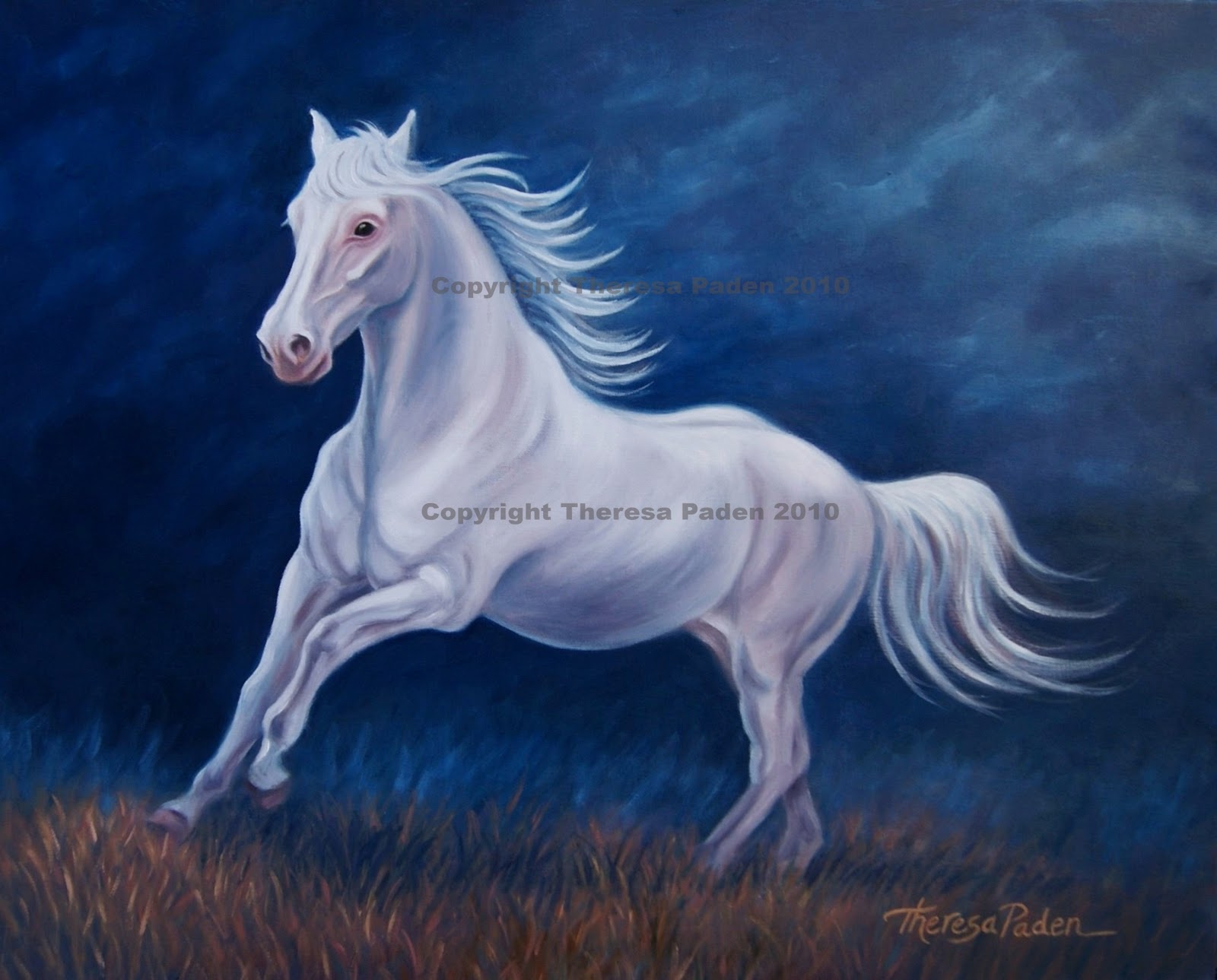 A White Stallion