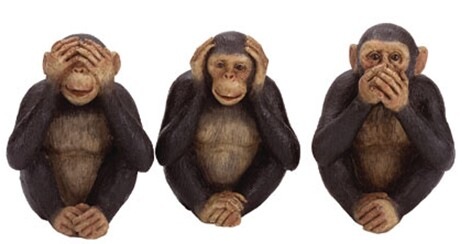 monkey no see