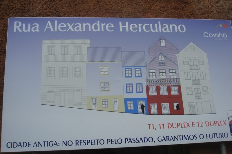 [placard.JPG]