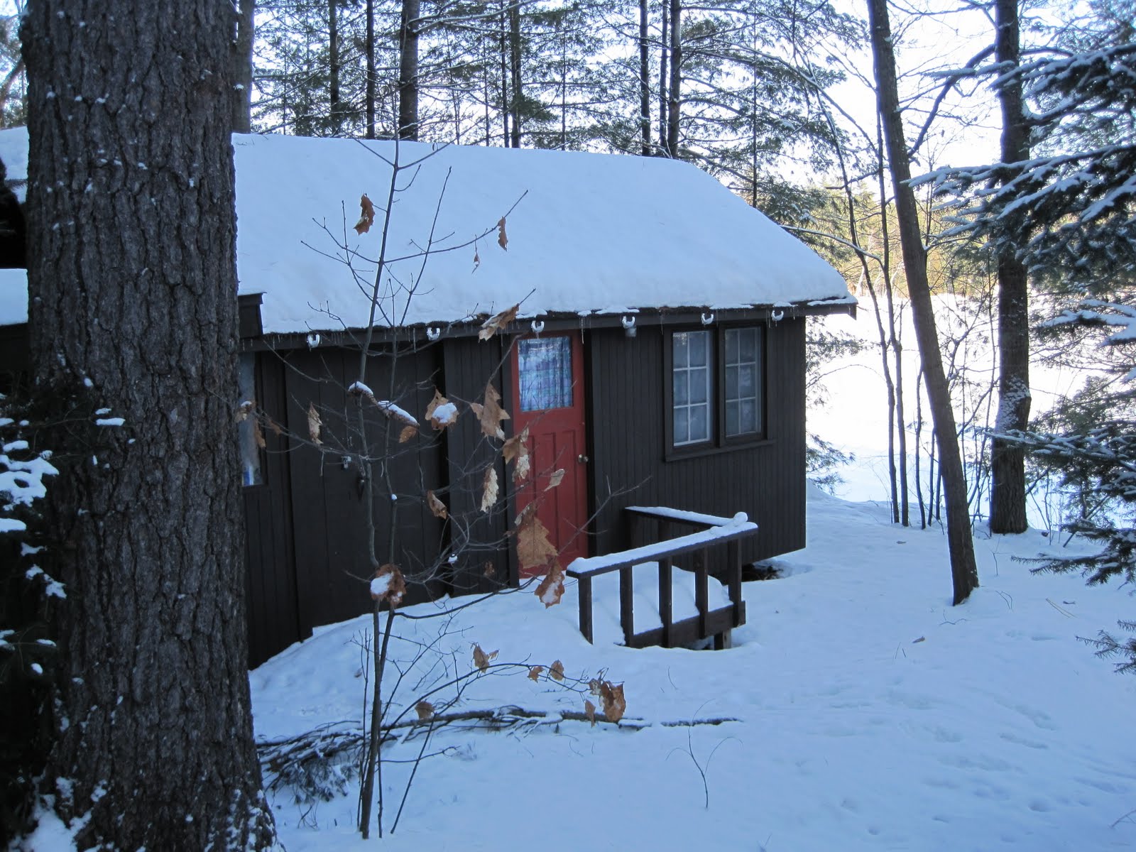 [Dec+2009+138.JPG]