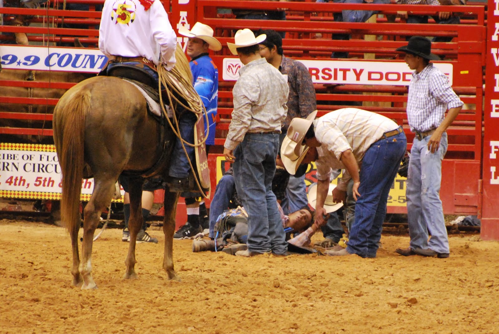 Davie Pro Rodeo 2010 Bull Riding A Mix of Extraordinary Genius and