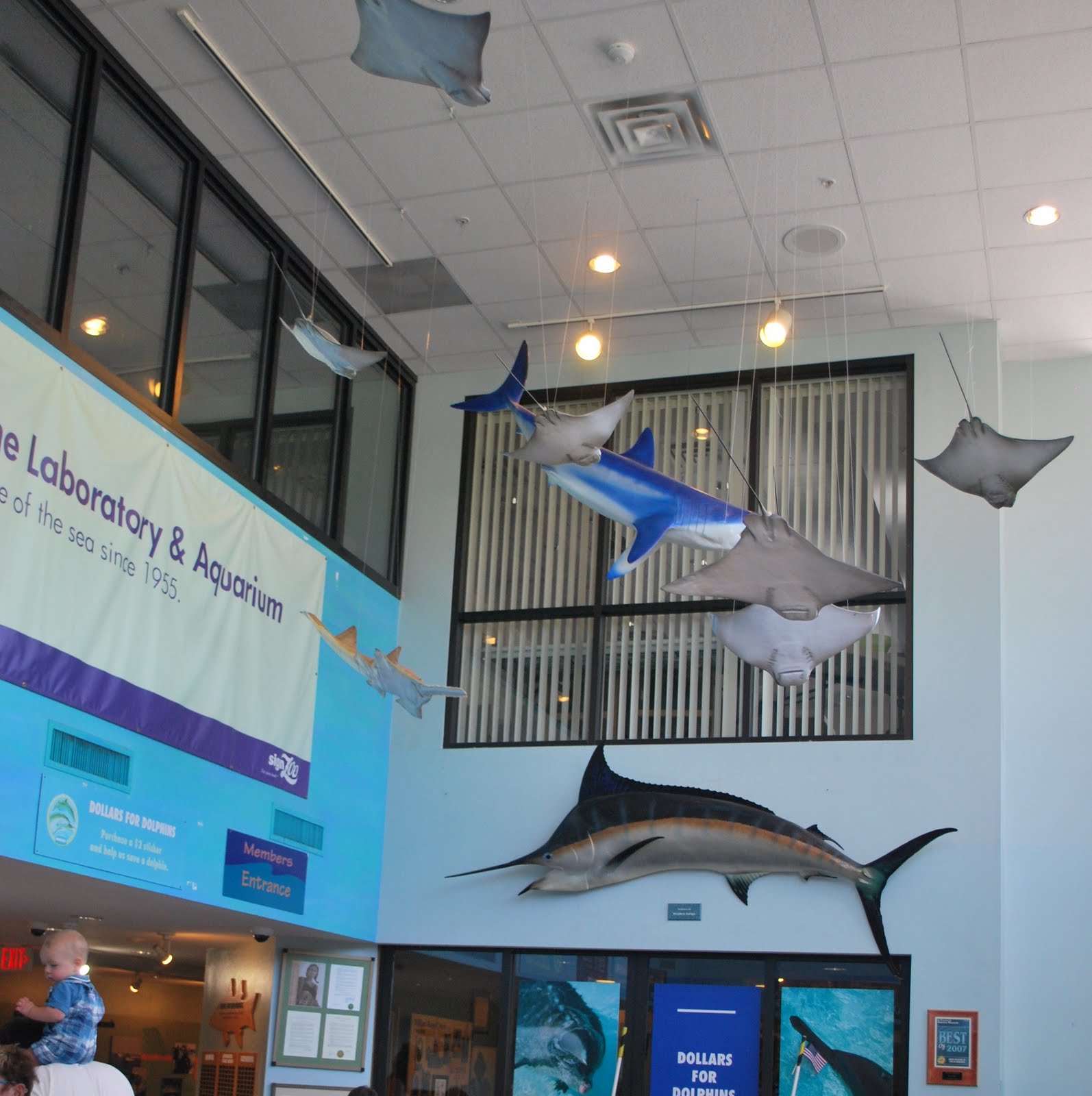 Mote Marine Laboratory The Aquarium A Mix of Extraordinary Genius