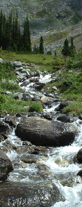 cascade