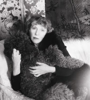 little augury: Devestating Beauty VI: Little Augury Picks