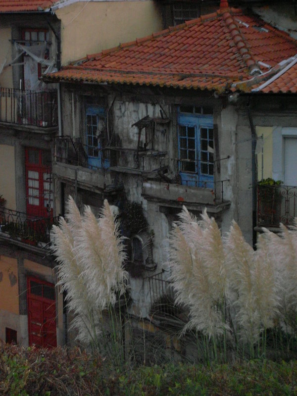 [SL370012.JPG]