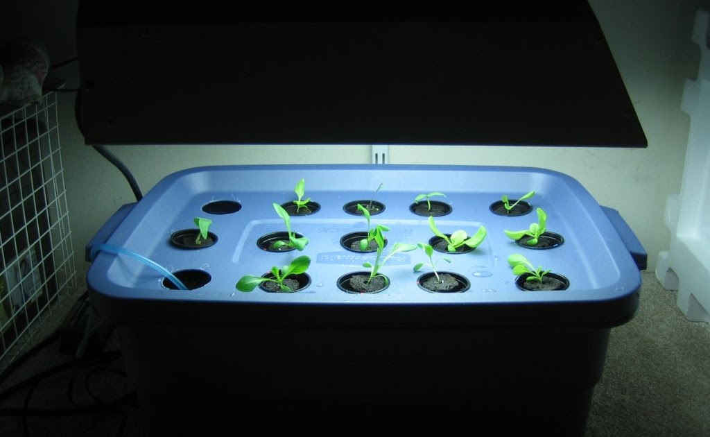 The Bucket Farm How To Building a cheapskate DWC system