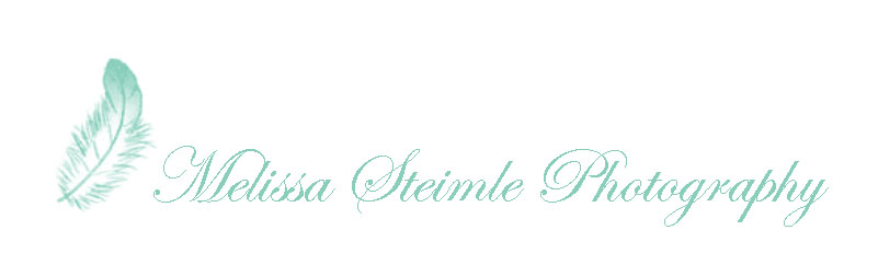 melissa steimle photography