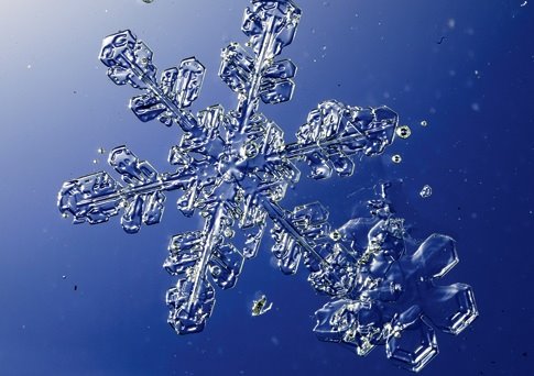 [snowflake_485.jpg]