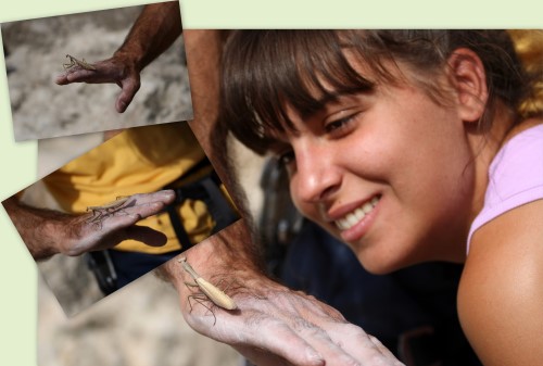 2008.09.29 - Velico Tarnovo si Basarbovo