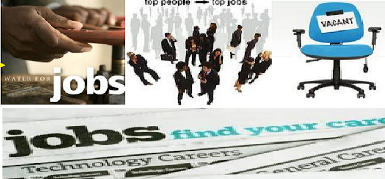 JOB VACANCIES | LATEST JOB OPPORTUNITIES | LATEST INTERNET BUSINESS OPPORTUNITIES