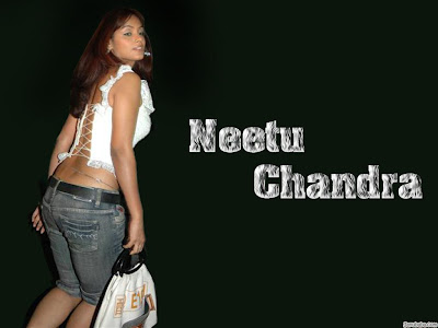 Neetu Chandra Hot Photos