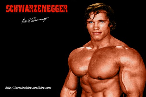 arnold schwarzenegger movies