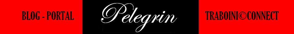 [Sigla+pelegrin.PNG]