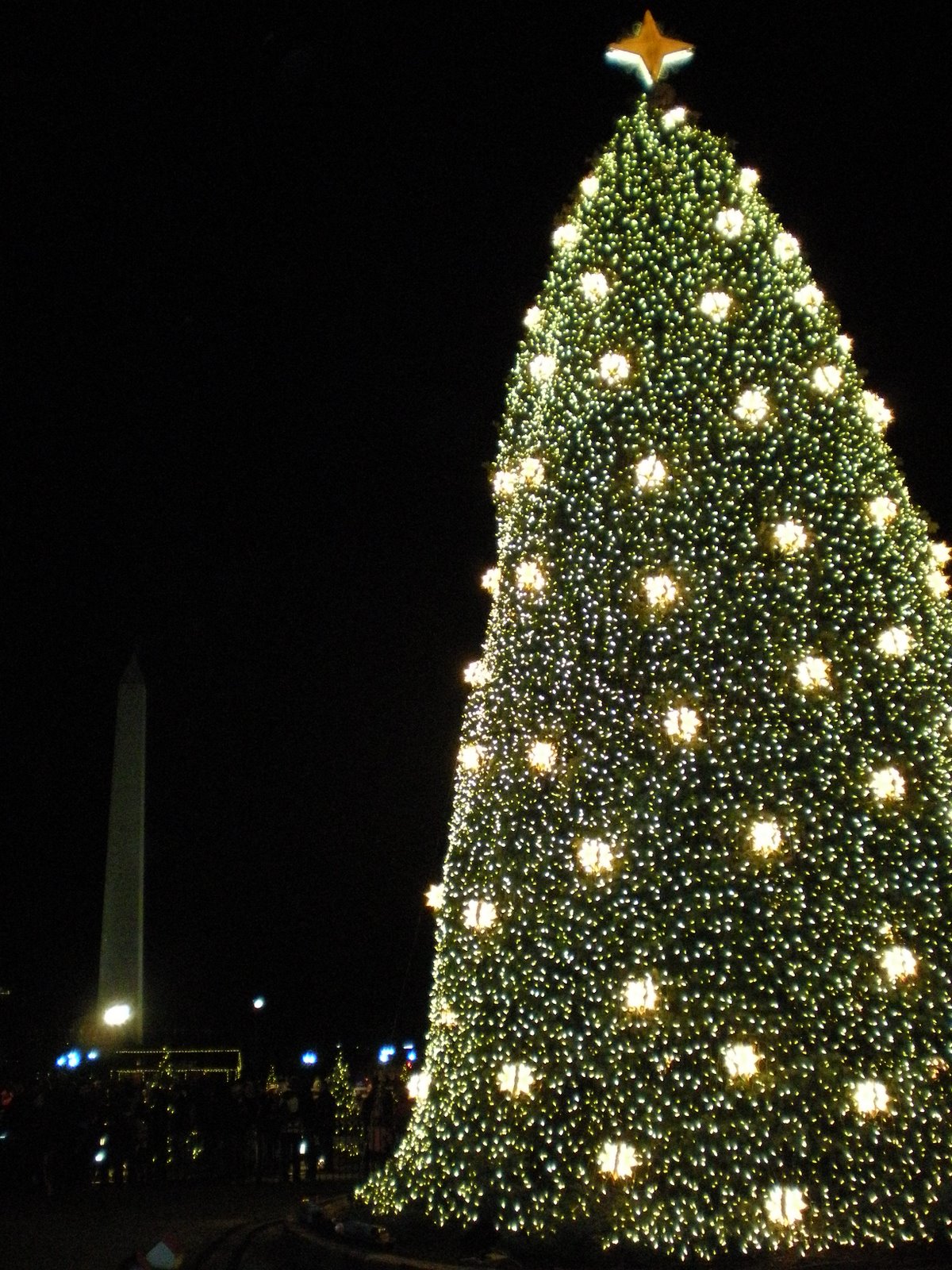 [DSCN0449.JPG]