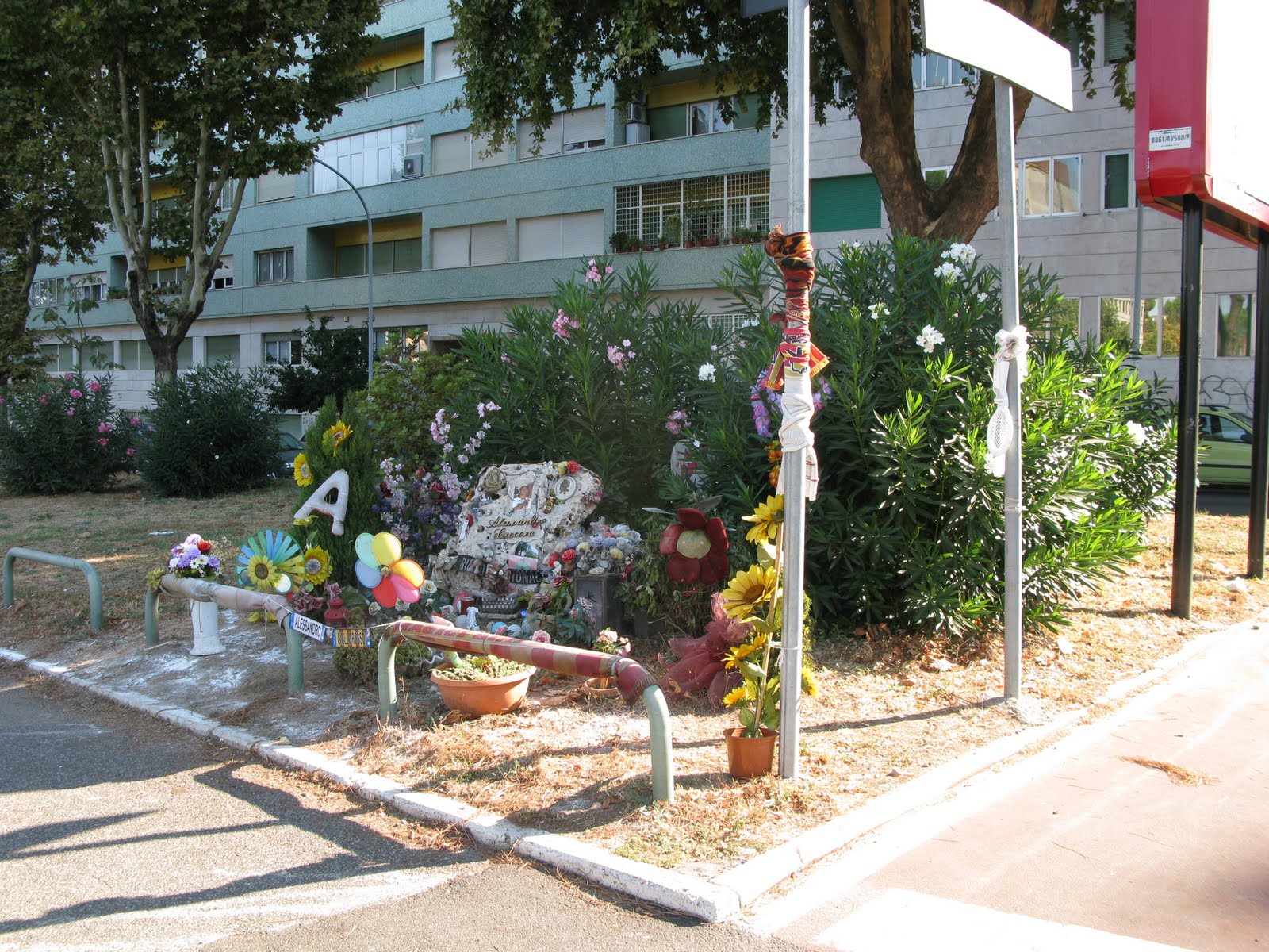 [IMG_0622.JPG]