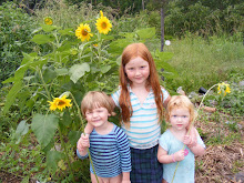 Jude, Xavier and Ivy in the veggie patch