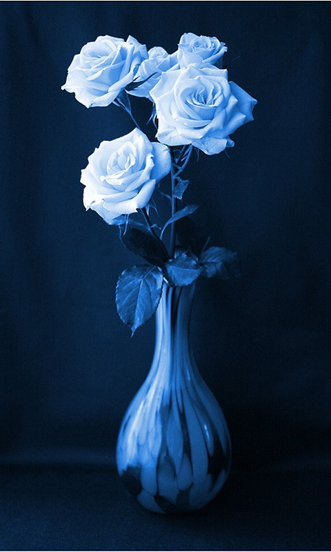 Mobile Wallpapers: Cute Mobile Wallpapers