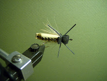 Air-filled Yellow Stonefly Adult