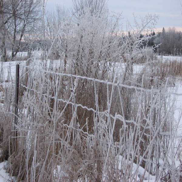 [IMG_1923.JPG]