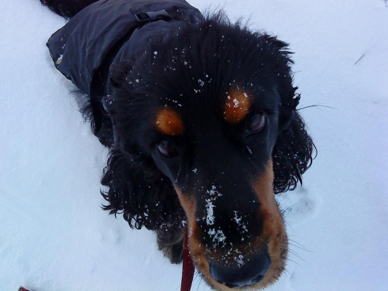 [image-upload-246-791656.jpg]