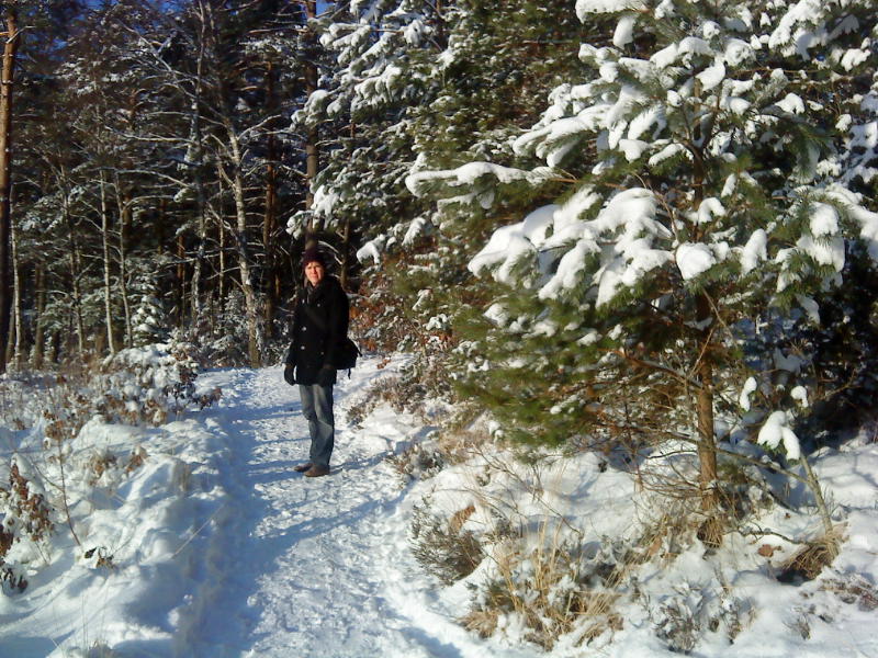 [image-upload-269-756449.jpg]