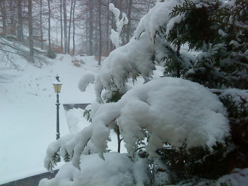 [image-upload-254-703963.jpg]