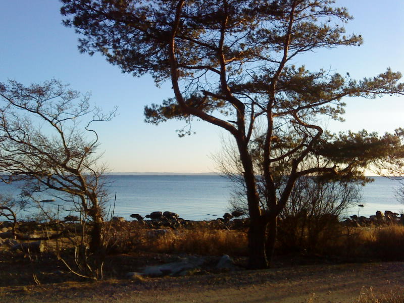 [image-upload-42-758430.jpg]