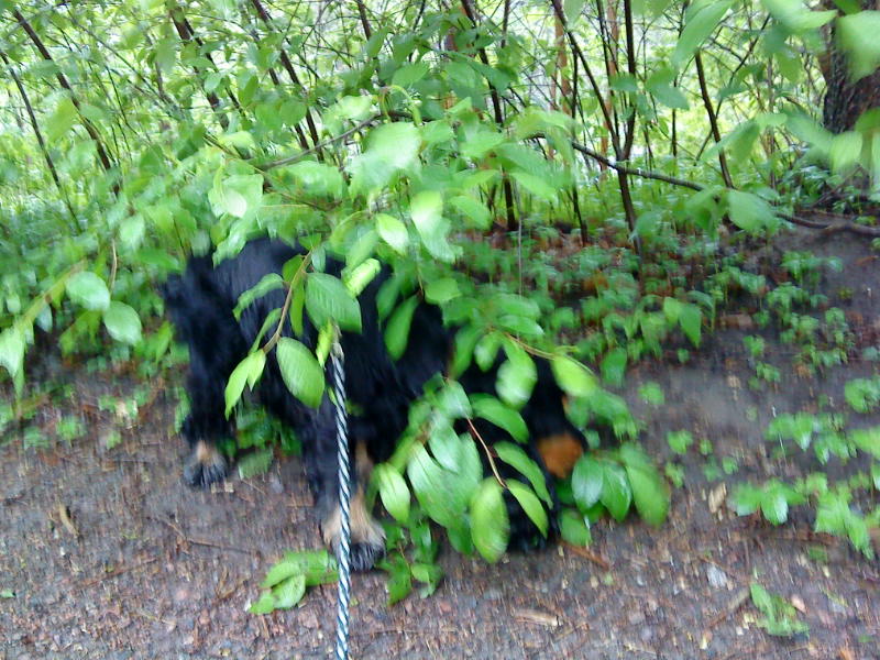 [image-upload-19-703479.jpg]