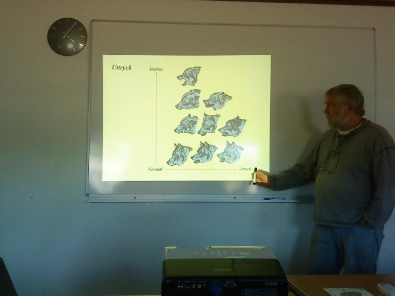 [image-upload-183-700679.jpg]