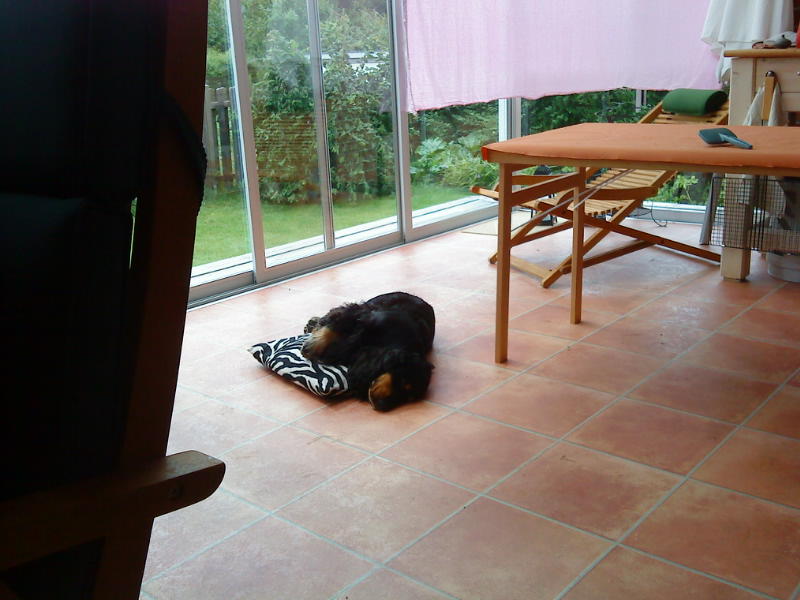 [image-upload-260-776456.jpg]