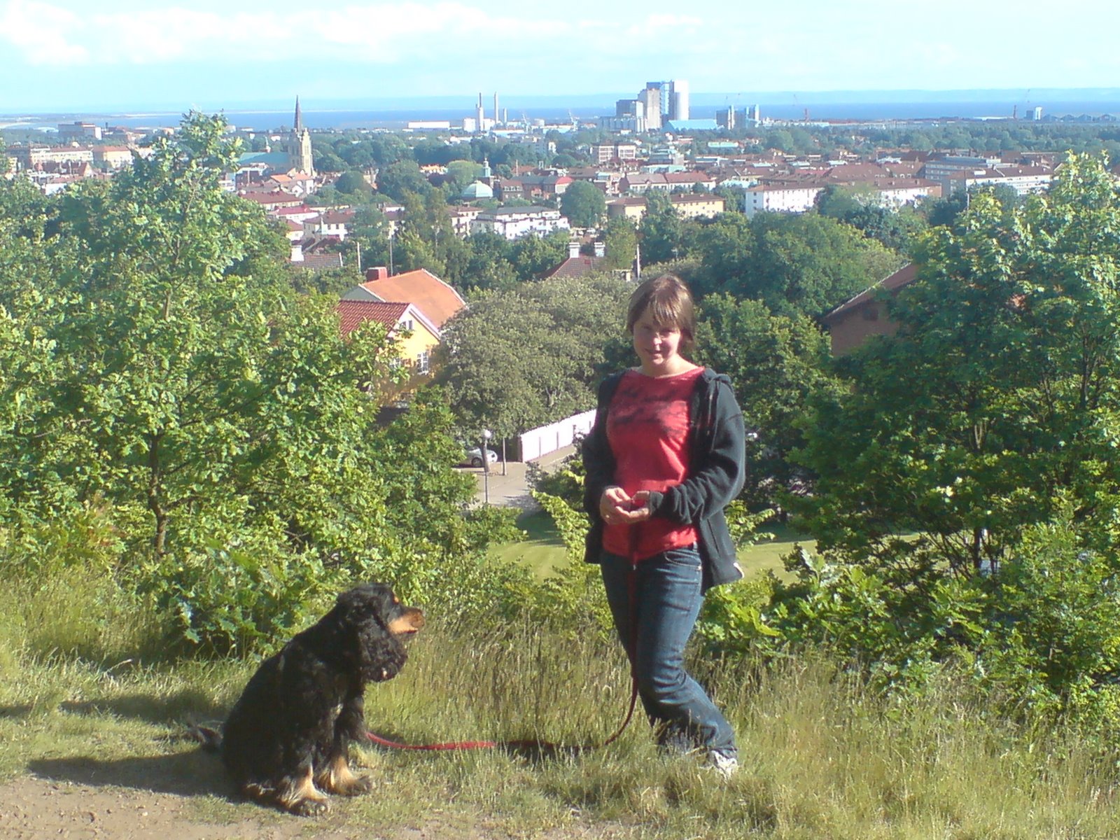 [DSC00118.JPG]