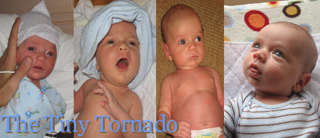 The Tiny Tornado