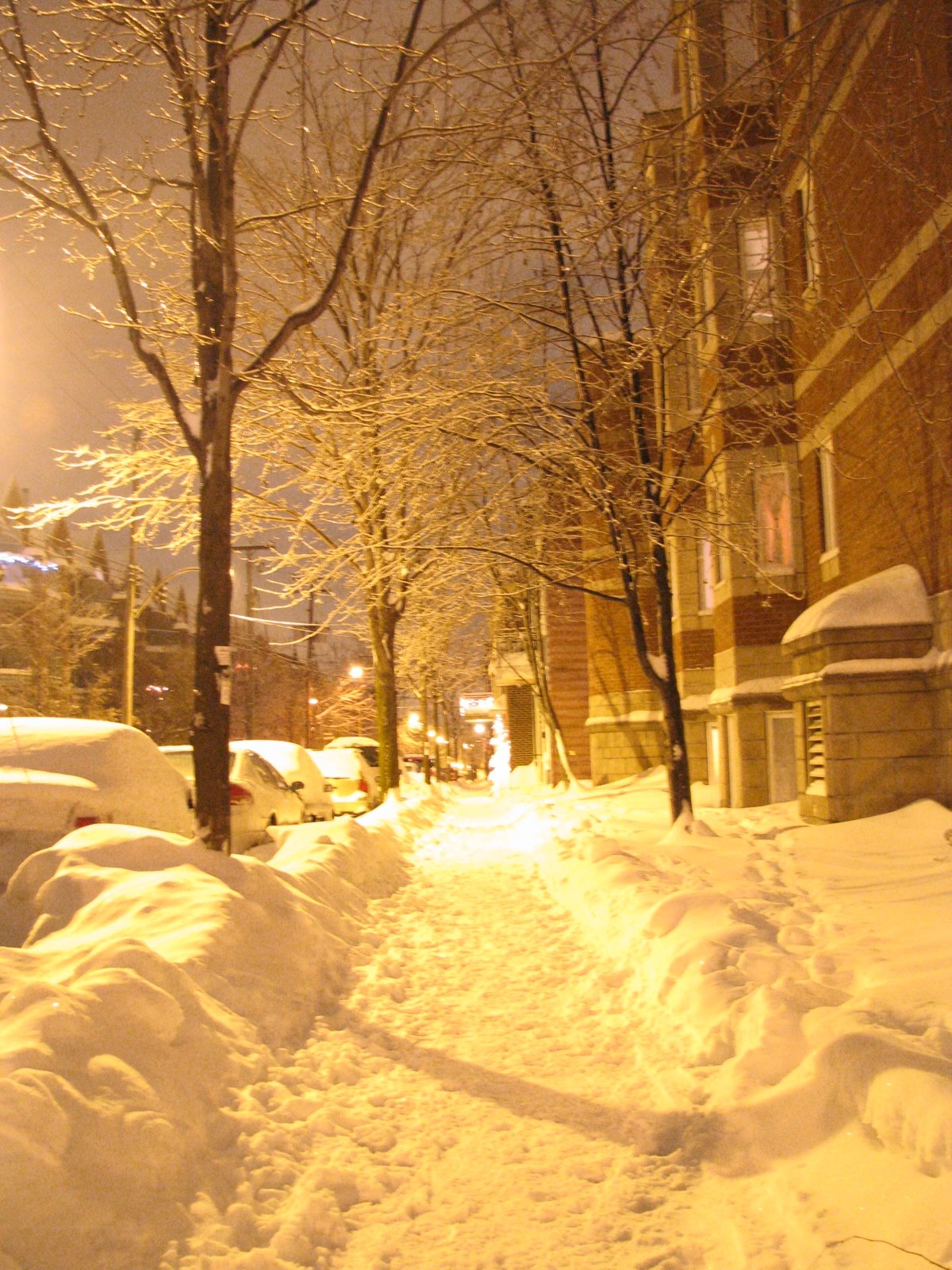 [IMG_2414.JPG]
