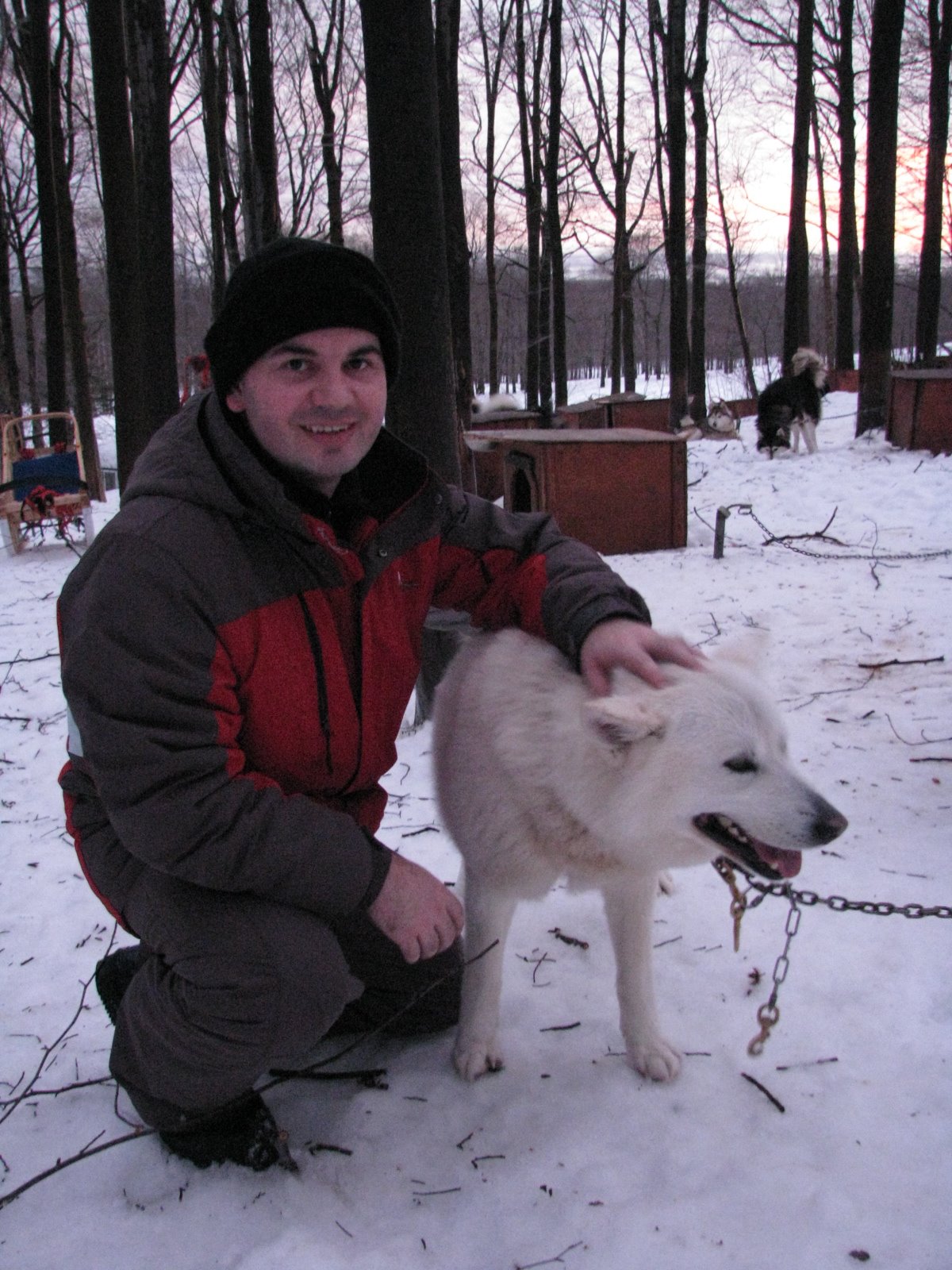 [IMG_3677.JPG]
