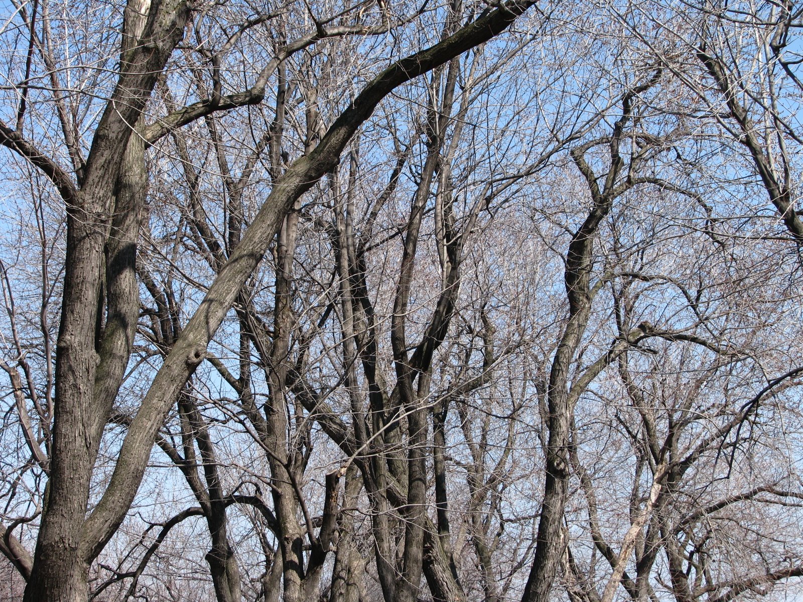 [IMG_4854.JPG]