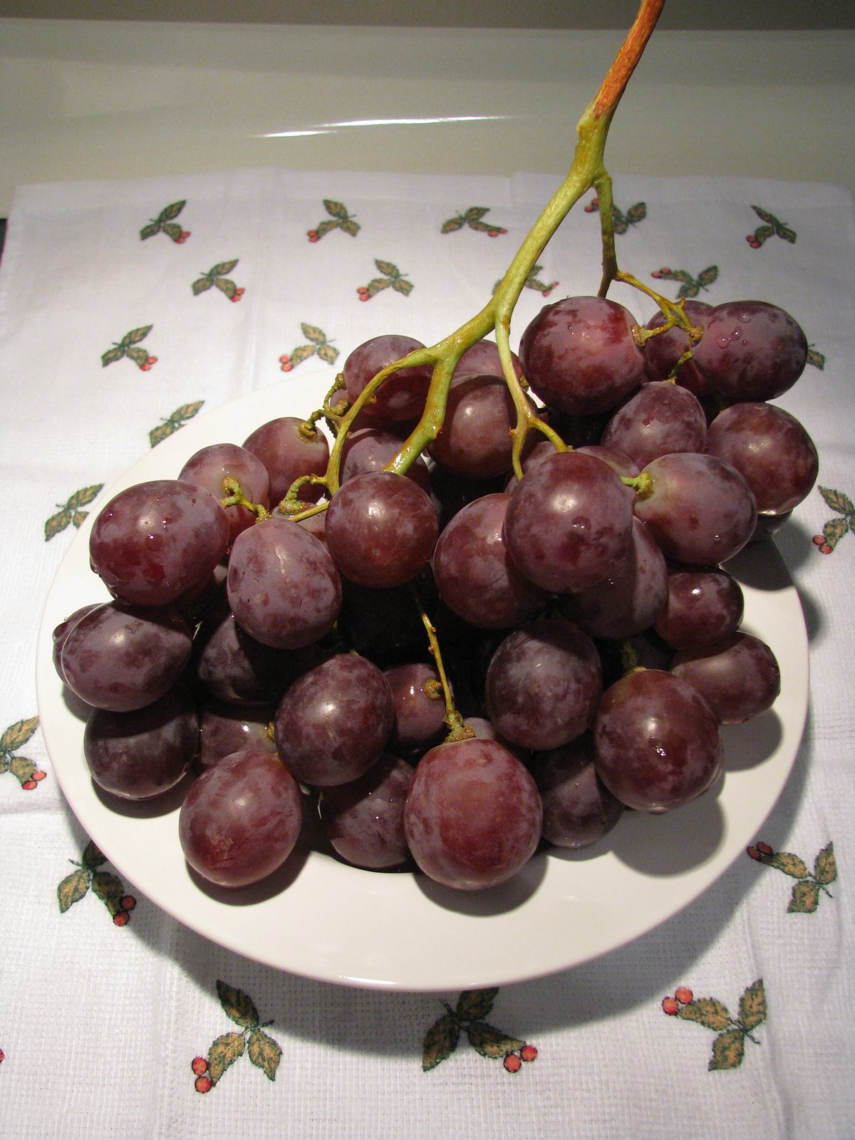 [IMG_5244.JPG]