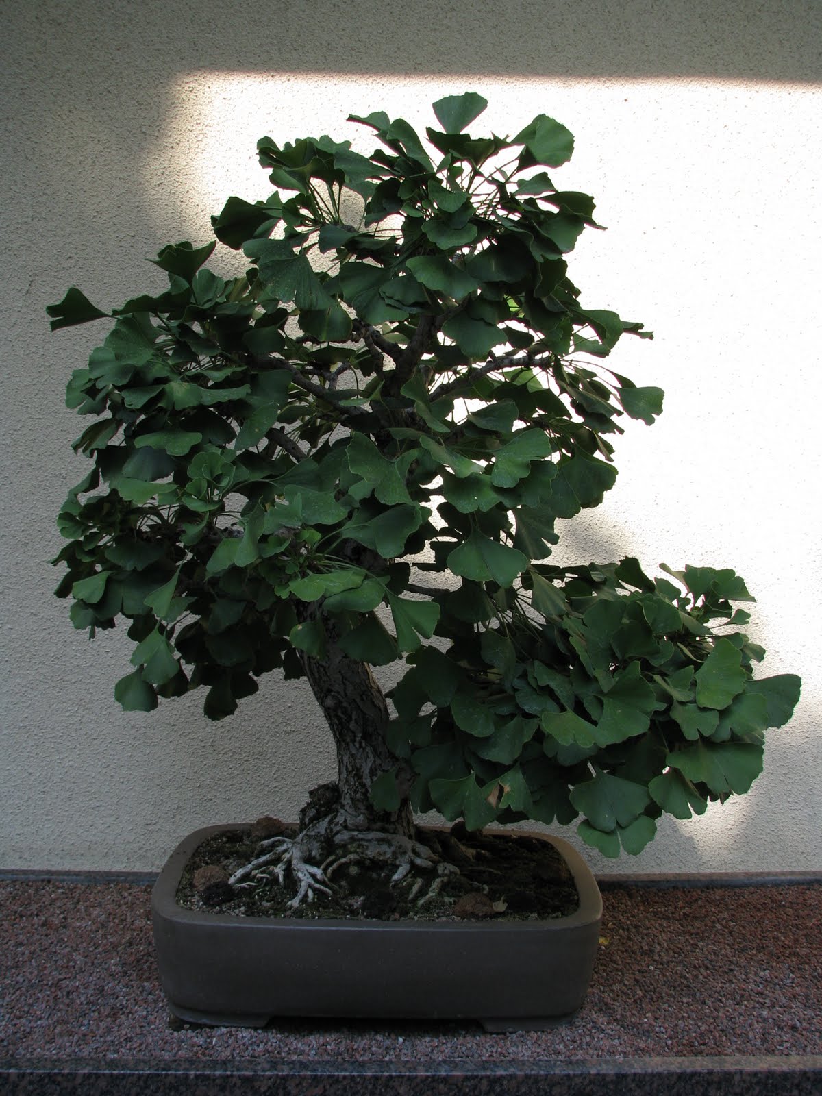 [IMG_7100.JPG]