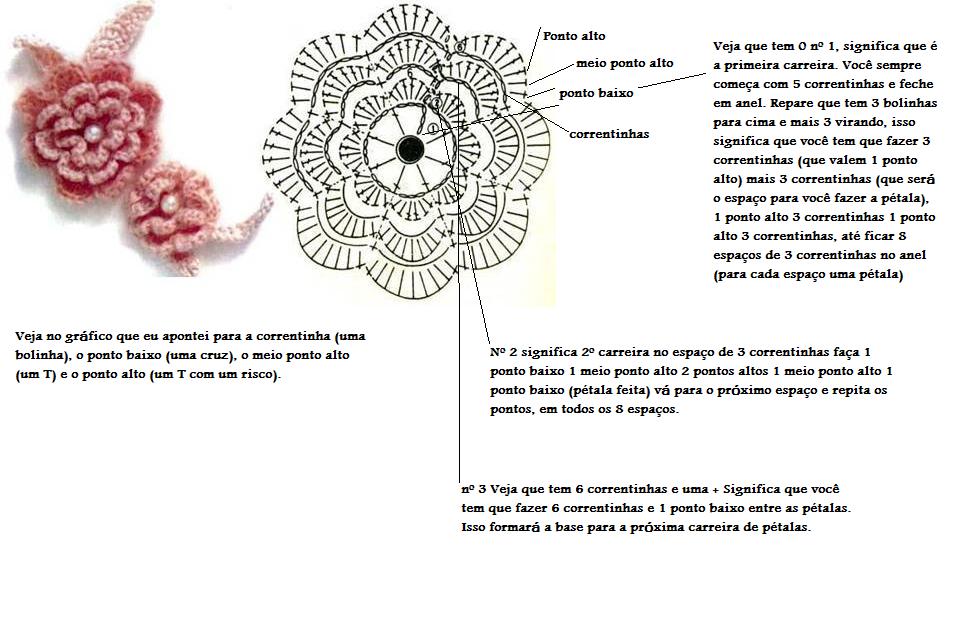 [Flor+com+...jpg]