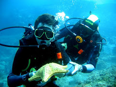 MERGULHO NO RIO DE JANEIRO