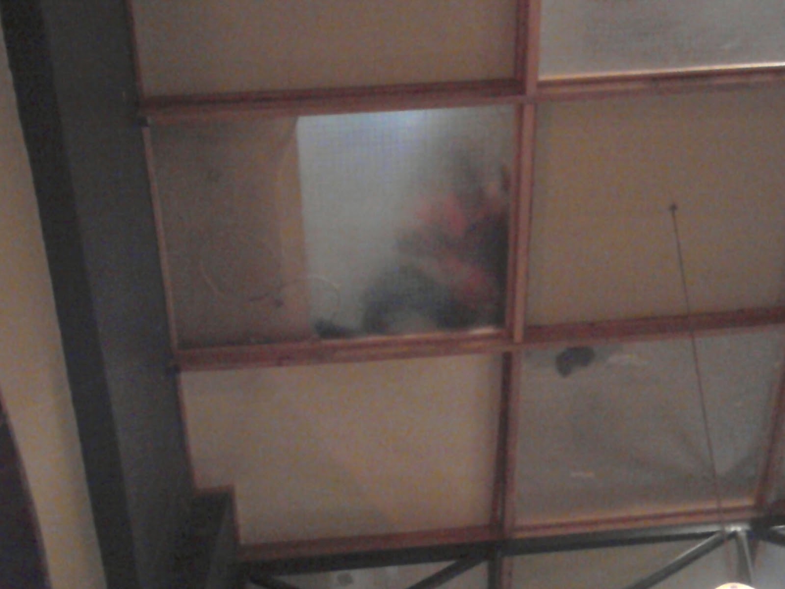 Fall Through Ceiling